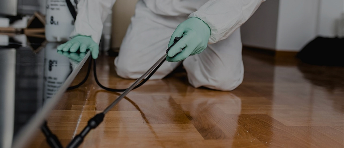 Pest Control